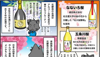 花酵母 桜の酵母を使用した日本酒を紹介している絵