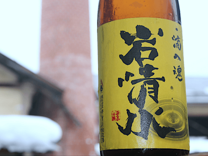 150年の歴史をもつ「井賀屋酒造場」から、限定酒を含む6本の日本酒が届く特別プランが「OWNERS」にて3/29に公開！ |  日本酒専門WEBメディア「SAKETIMES」