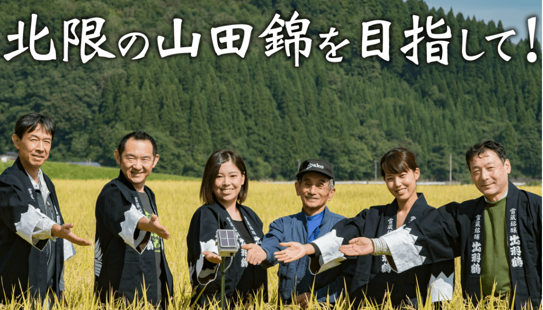 秋田県ではほとんど栽培されていない「北限の山田錦」の栽培を目指すプロジェクト