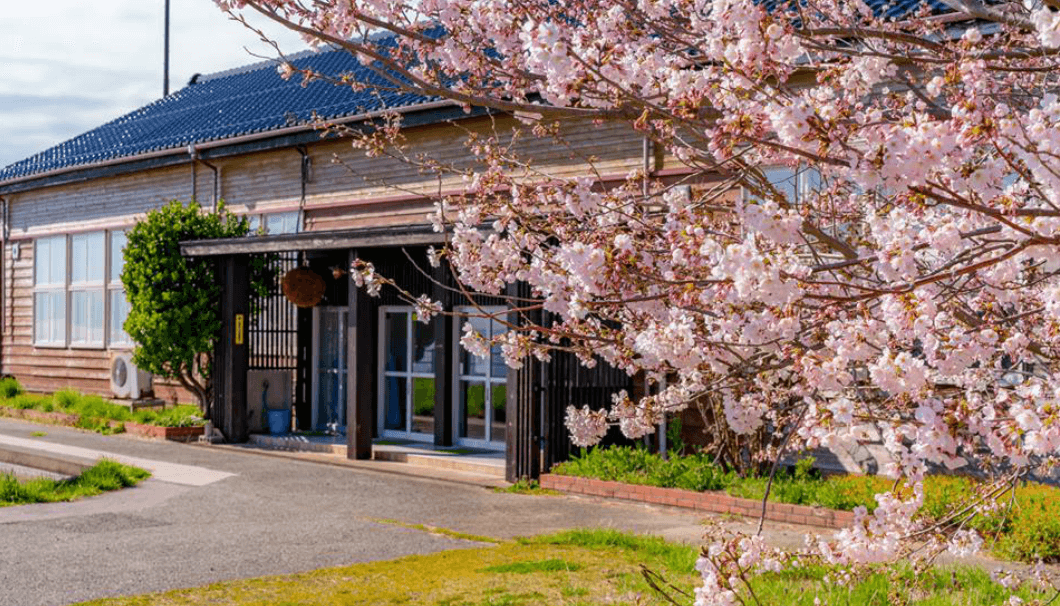 桜が咲き誇る学校蔵