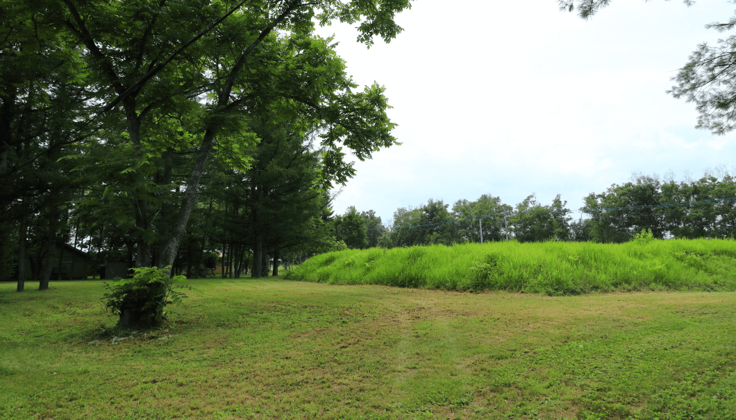 草木が茂る敷地の写真