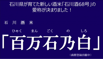 酒米新品種「石川酒68号」愛称決定
