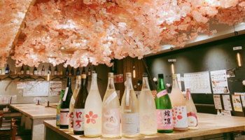 日本酒原価酒蔵「店内お花見キャンペーン」