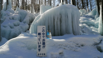 「氷中貯蔵 熊の涙」