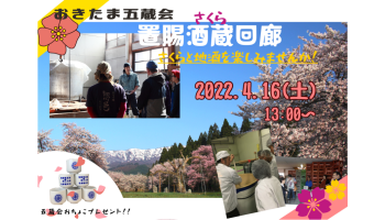 置賜の酒蔵と桜を総巡り！『おきたま酒蔵（さくら）回廊』