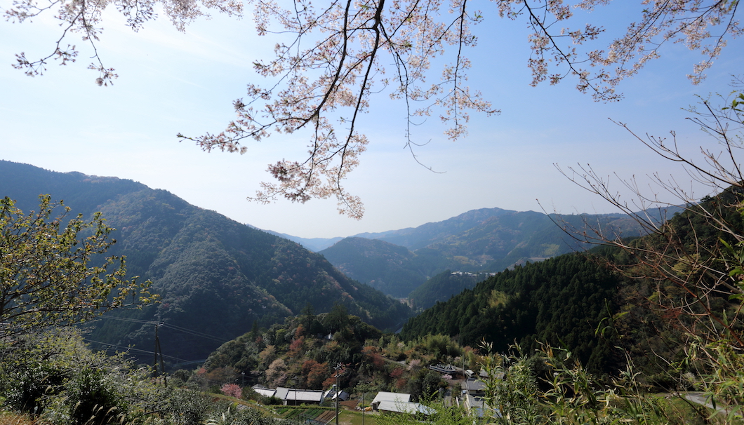 高知県の自然