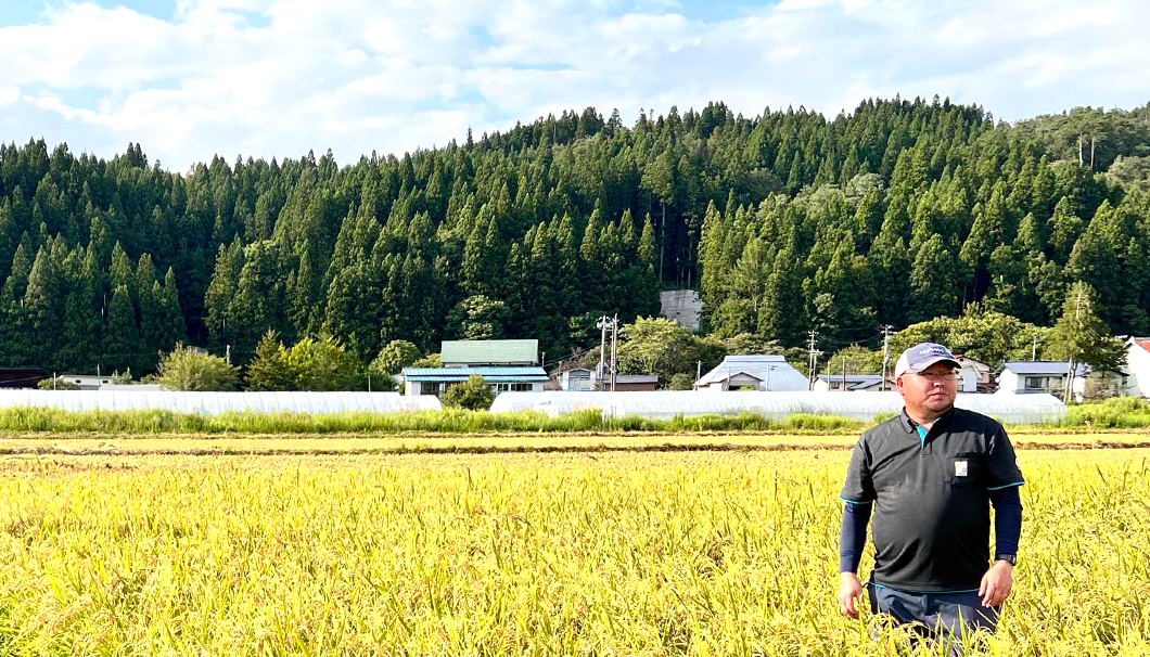 桜川酒造 井上さんの田んぼ