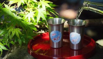 まどろむ酒器～錦鯉～