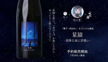 星猫 〜星降る夜に君想い〜