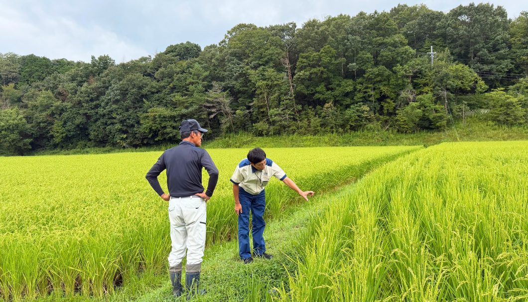 兵庫県三木市吉川町新田地区の田んぼ