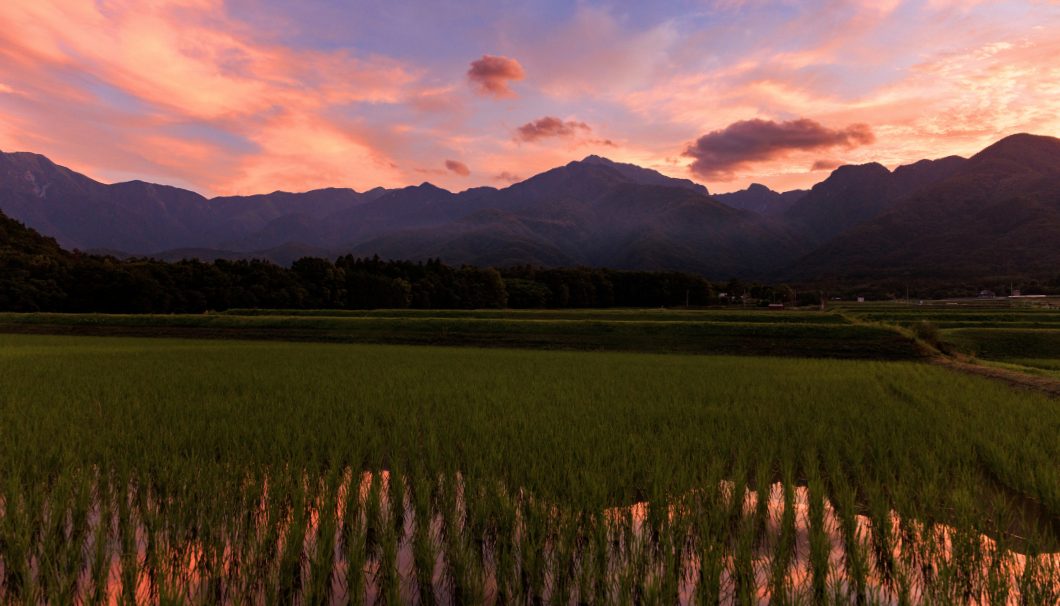 写真提供:山梨銘醸