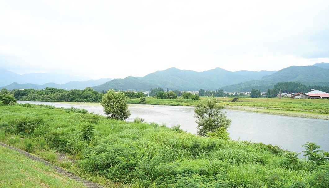 魚野川